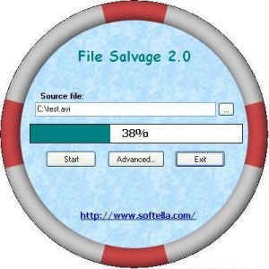 File Salvage