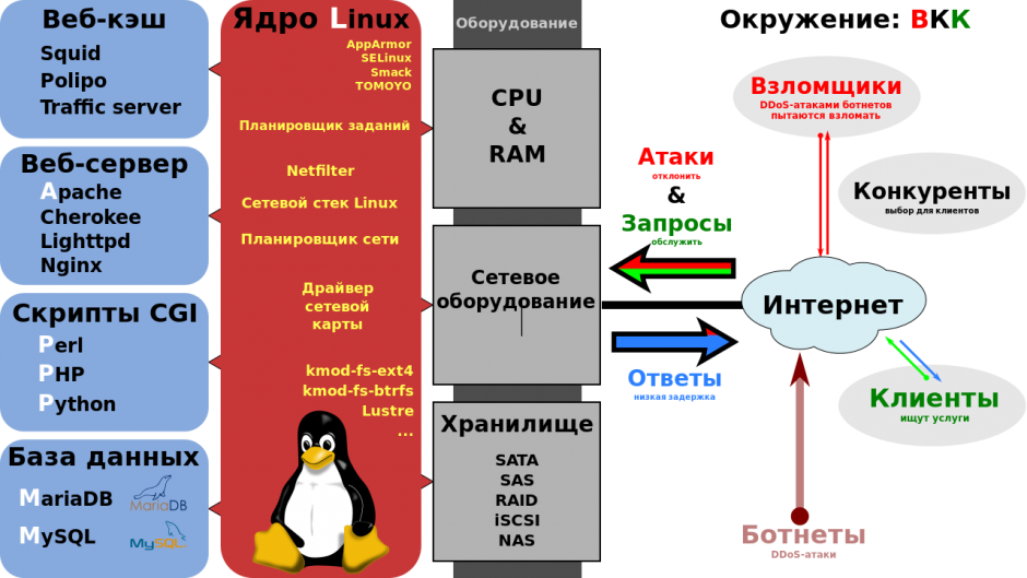 Windows squid очистка логов